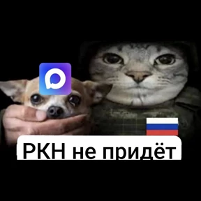 rrollfr — стикер для MAX