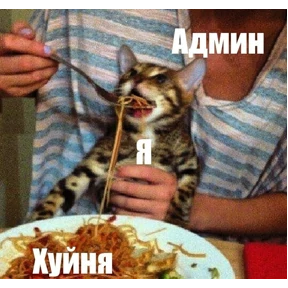 rrollfr — стикер для MAX