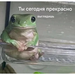 rrollfr — стикер для MAX