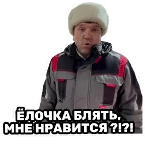 РЦК-АЛТАЙ — стикер для MAX