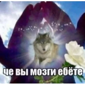 dgbw — стикер для MAX