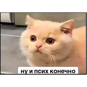 Уло, перезвони мне — стикер для MAX