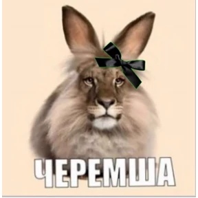 Черемча — стикер для MAX