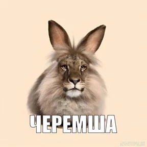 Черемча — стикер для MAX