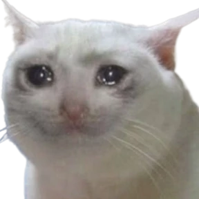 Коты — стикер для MAX