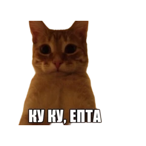 Коты — стикер для MAX