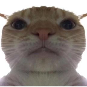 Коты — стикер для MAX