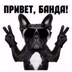 Доброе утро — стикер для MAX