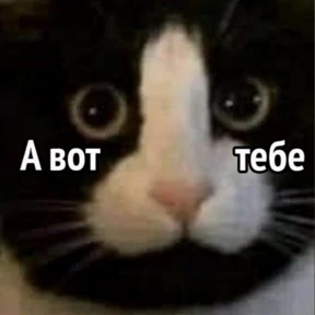 Для мамы — стикер для MAX