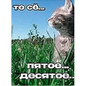 Опа — стикер для MAX