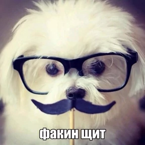 Опа — стикер для MAX