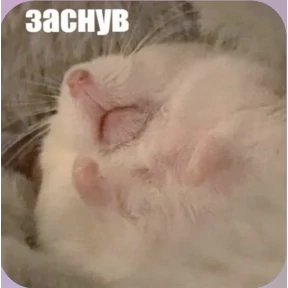 Смешнявки — стикер для MAX