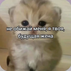 Стикерпак Смешнявки для мессенджера MAX