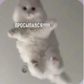 Смешнявки — стикер для MAX