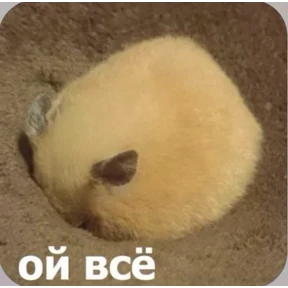 Смешнявки — стикер для MAX