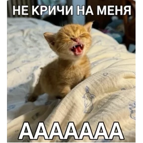 Смешнявки — стикер для MAX