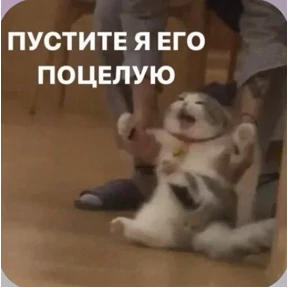 Смешнявки — стикер для MAX