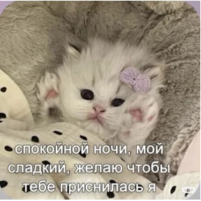 Смешнявки — стикер для MAX