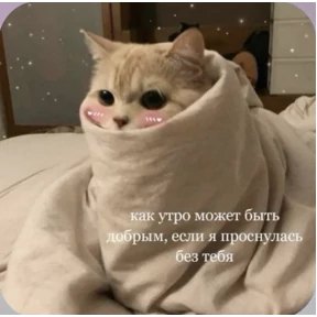 Смешнявки — стикер для MAX