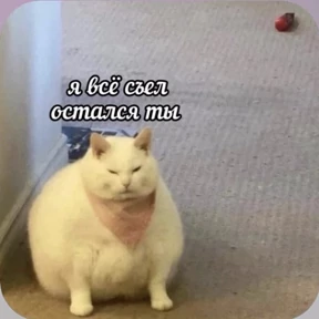 Смешнявки — стикер для MAX
