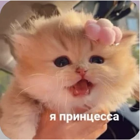 Смешнявки — стикер для MAX