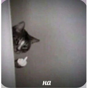 Смешнявки — стикер для MAX