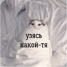 Смешнявки — стикер для MAX