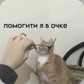Смешнявки — стикер для MAX