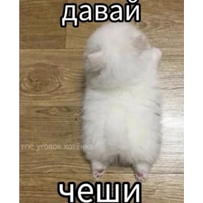 Смешнявки — стикер для MAX