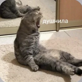 Смешнявки — стикер для MAX
