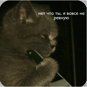 Смешнявки — стикер для MAX