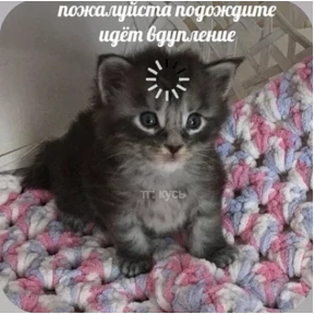 Смешнявки — стикер для MAX