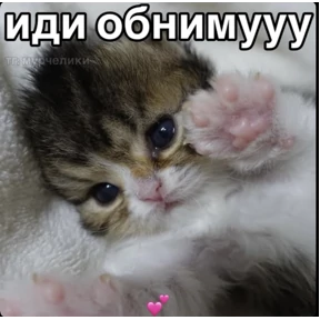 Мими — стикер для MAX