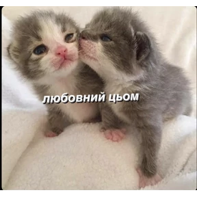 Мими — стикер для MAX
