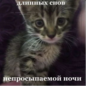 Мими — стикер для MAX
