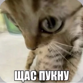 Смешнявки — стикер для MAX