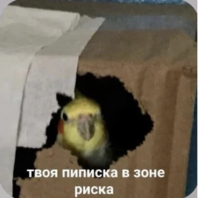 Смешнявки — стикер для MAX