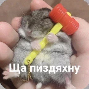 Смешнявки — стикер для MAX