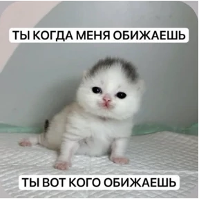 Смешнявки — стикер для MAX