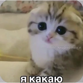 Смешнявки — стикер для MAX