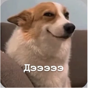 Смешнявки — стикер для MAX