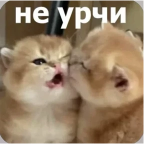 Смешнявки — стикер для MAX