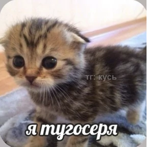 Смешнявки — стикер для MAX