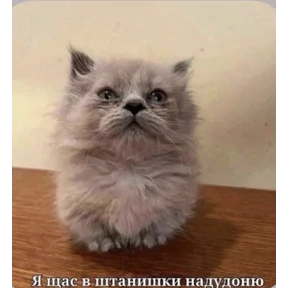 Смешнявки — стикер для MAX
