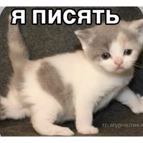 Смешнявки — стикер для MAX
