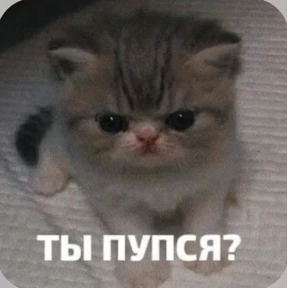 Смешнявки — стикер для MAX