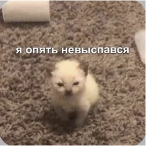 Смешнявки — стикер для MAX