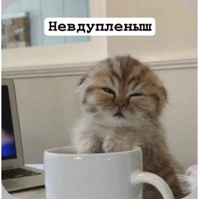 Смешнявки — стикер для MAX