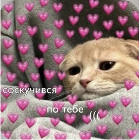 Смешнявки — стикер для MAX