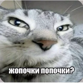Смешнявки — стикер для MAX
